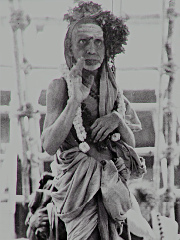 Mahaperiyava Anugraham