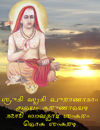 Adi Shankara